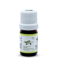 Óleo absoluto de Jasmim 2ml