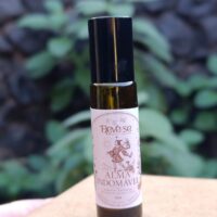 Perfume Alma Indomável 10ml